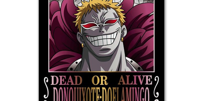 1000x1000 Doflamingo Bounty Poster - Shop One Piece Bounty Posters – iLoominated
