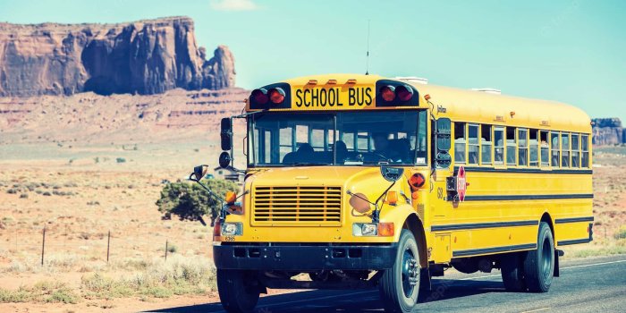 1920x1280 100+] School Bus Wallpapers | Wallpapers.com