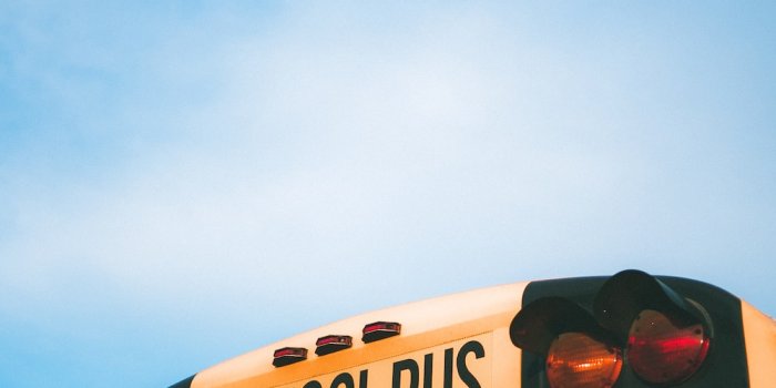 1000x1332 100+ School Bus Pictures | Download Free Images on Unsplash