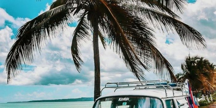 736x1104 Road Trip Wallpaper | Volkswagen, Van life, Vintage volkswagen