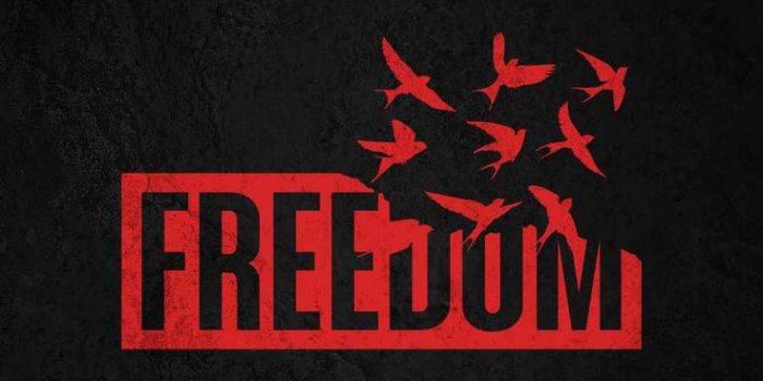 736x1308 Freedom IPhone Wallpaper - IPhone Wallpapers : iPhone Wallpapers | Iphone  wallpaper, Wallpaper quotes, Galaxy wallpaper