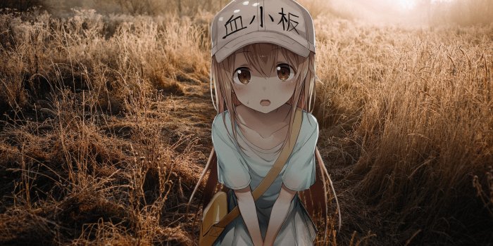 2560x1440 anime, loli, Hataraku Saibou, anime girls HD Wallpaper