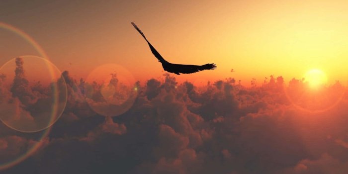 1920x1200 100+] Freedom Pictures | Wallpapers.com