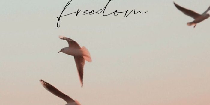 736x1308 Freedom | by @thekatanis | Aesthetic backgrounds, Nature photography, Sky  aesthetic