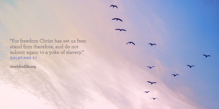 2732x2048 For Freedom : Wallpaper