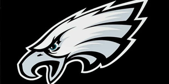 800x1600 Download Show your Eagles pride with a Philadelphia Eagles Iphone Wallpaper  | Wallpapers.com