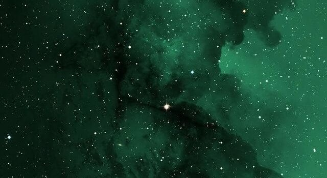 640x1280 Get the We Heart It app! | Iphone wallpaper green, Dark green wallpaper,  Dark green aesthetic