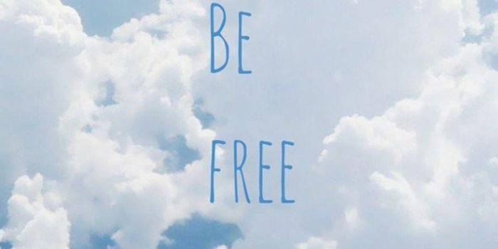 736x1309 Freedom iPhone Wallpapers - Top Free Freedom iPhone Backgrounds -  WallpaperAccess