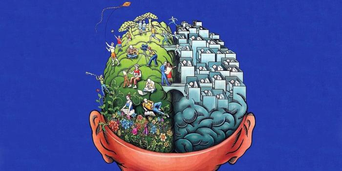 1920x1080 100+] Brain Wallpapers | Wallpapers.com