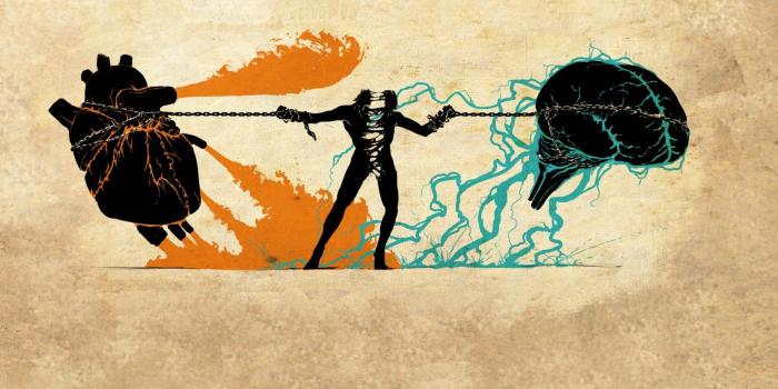 1920x1200 Nerdy wallpapers. You can trust my judgement, I'm a graphic designer. Or  whatever. | Heart vs brain, Heart vs mind, Art