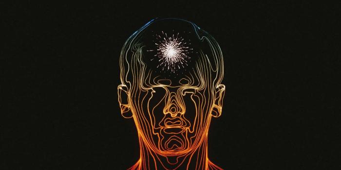 1920x1080 100+] Brain Wallpapers | Wallpapers.com