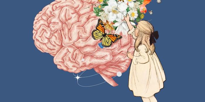 800x1422 Wallpaper Brain Images | Free Photos, PNG Stickers, Wallpapers &  Backgrounds - rawpixel