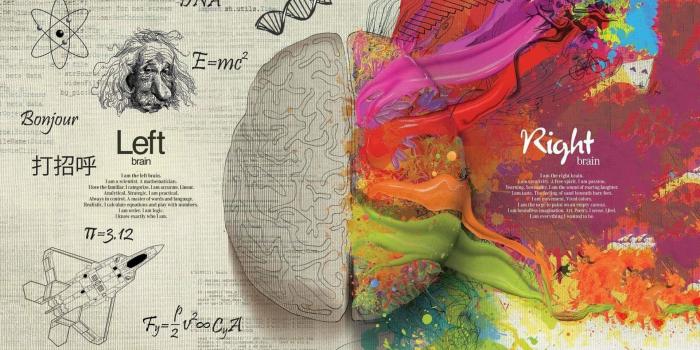 1920x1080 100+] Brain Wallpapers | Wallpapers.com