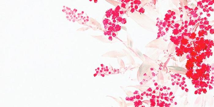 736x1308 Apple Red White Flower Ios9 iPhone 6 Wallpaper Download | iPhone Wallpapers,  iPad wallpapers O… | Flower iphone wallpaper, Red and white wallpaper,  Iphone wallpaper