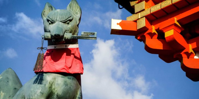 2560x1707 Kitsune | HD Wallpapers