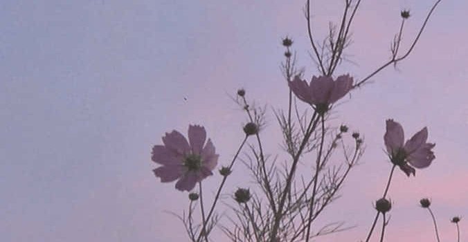 676x1200 100+] Aesthetic Korean Wallpapers | Wallpapers.com