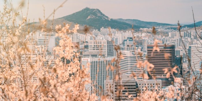 1000x800 500+ Seoul Pictures | Download Free Images on Unsplash