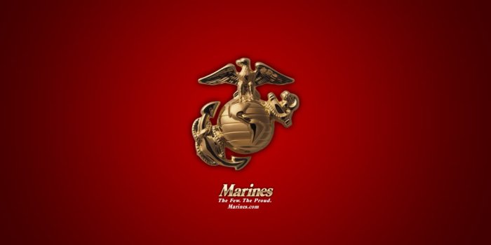 1024x768 49+] Free USMC Wallpaper Marine Corps | WallpaperSafari.com