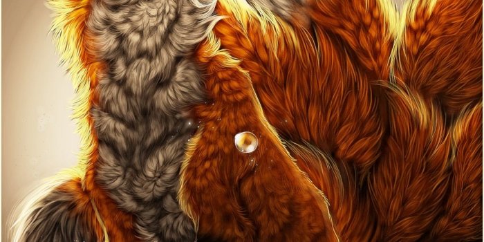 1024x1415 Nine Tailed Fox Wallpaper - Wallpaper Sun