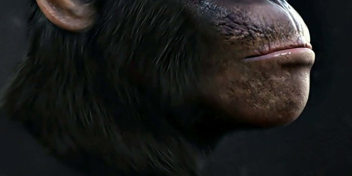 1080x1920 Download Swag Iphone Monkey Side Profile Wallpaper | Wallpapers.com