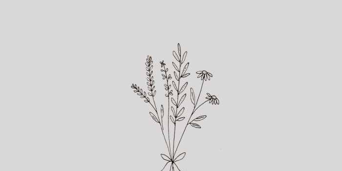 1670x3463 Minimalist Wallpaper | Iphone minimalist wallpaper, Minimalist wallpaper,  White flower wallpaper