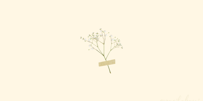 1920x1080 minimalist desktop background | Fondos de pantalla para portátil, Fondos de  pantalla de iphone, Fondos de computadora