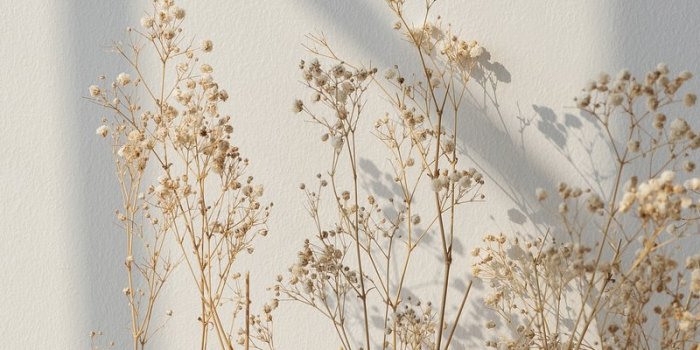 800x1422 Beige Minimalist Wallpaper Images | Free Photos, PNG Stickers, Wallpapers &  Backgrounds - rawpixel