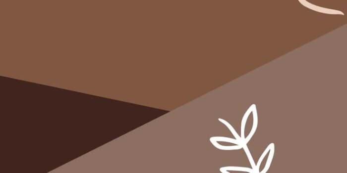 736x1308 Beige minimalist aesthetic Wallpapers Download | MobCup