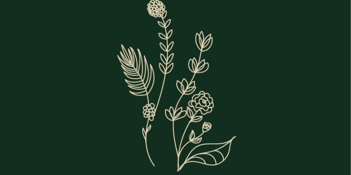 736x1373 Minimal wallpaper design | Dark green wallpaper, Simplistic wallpaper,  Iphone wallpaper green