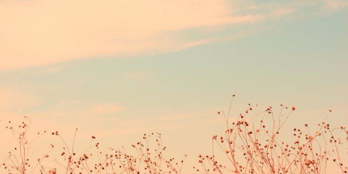 5120x3200 Beige Aesthetic Minimalism Wallpapers for Computer and Phone