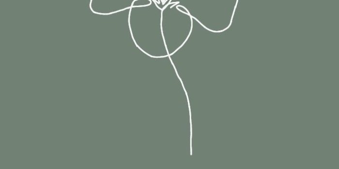 720x1410 Flower wallpaper in 2022 | Cute simple wallpapers, Minimalist wallpaper,  Funny phone wallpaper | Simplistic wallpaper, Iphone wallpaper green, Sage  green wallpaper