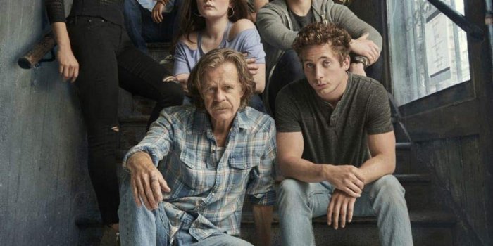 812x1083 Amazon.com: MasonArts Shameless Season 10 14inch x 19inch Silk Poster TV  Drama Wallpaper Wall Decor Silk Prints for Home and Store : Tools & Home  Improvement