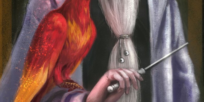 2042x3297 Dumbledore Wallpapers (20+ images inside)