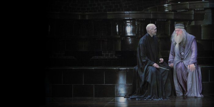 1920x1080 Dumbledore and Voldemort having a nice chat - Wallpaper : r/harrypotter