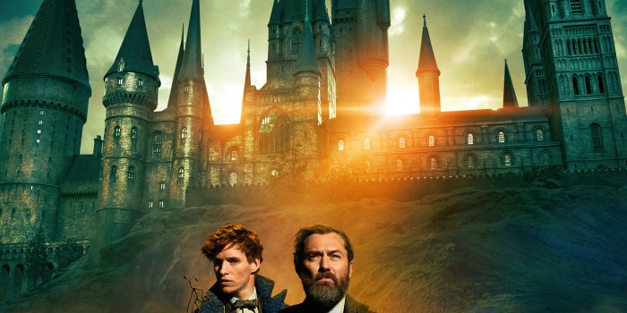 1280x2120 1280x2120 Fantastic Beasts The Secrets Of Dumbledore 2022 iPhone 6+ HD 4k  Wallpapers, Images, Backgrounds, Photos and Pictures