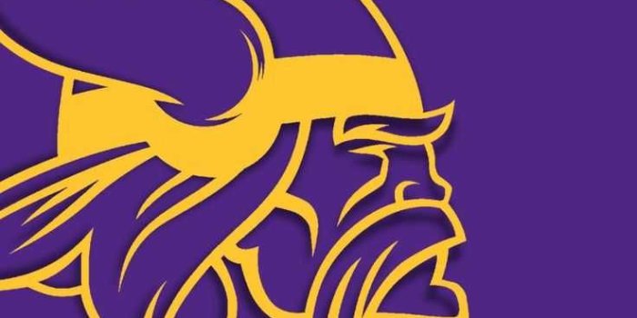 736x1308 Minnesota Vikings Wallpaper Minnesota Vikings Wallpaper with the keywords  American, Club, F… in 2023 | Minnesota vikings wallpaper, Minnesota vikings  logo, Viking wallpaper