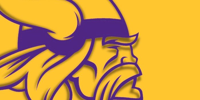 736x1308 Minnesota VIKINGS Logo Purple Wallpaper | Minnesota vikings logo, Minnesota  vikings wallpaper, Viking logo