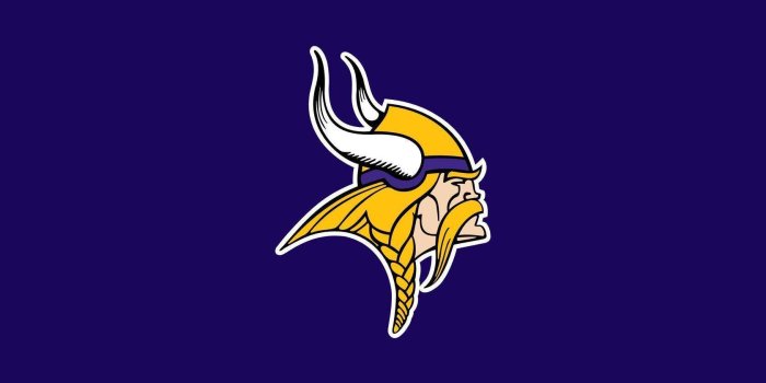 1680x1050 Download Minnesota Vikings | Pride & Unity Wallpaper | Wallpapers.com