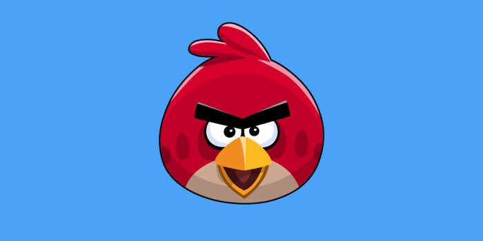 3000x2000 Angry Bird Ultra HD Desktop Background Wallpaper for 4K UHD TV : Widescreen  & UltraWide Desktop & Laptop : Multi Display, Dual Monitor : Tablet :  Smartphone