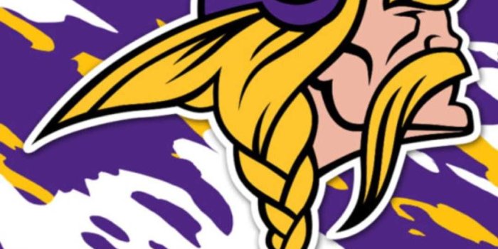 1080x1920 Minnesota Vikings Wallpaper - iXpap | Minnesota vikings wallpaper, Viking  wallpaper, Minnesota vikings logo