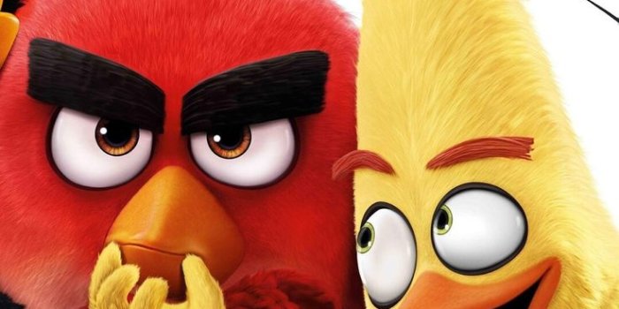 736x1594 Creative Young on Wallpapers | Angry birds, Bird wallpaper, Red angry  bird