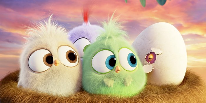 4200x2363 Hatchlings Angry Birds, HD Movies, 4k Wallpapers, Images, Backgrounds,  Photos and Pictures