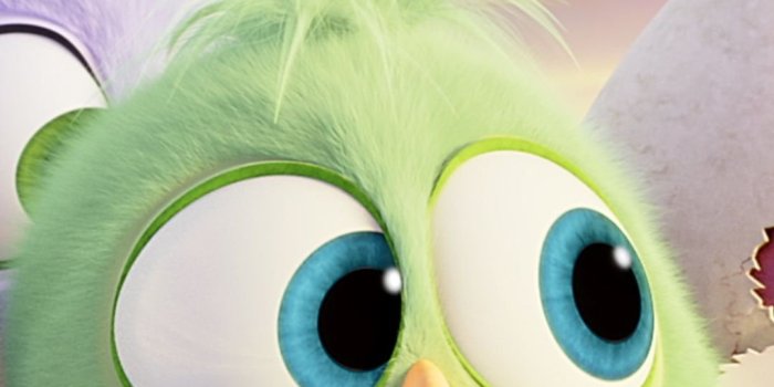 1080x1920 Cute angry bird Wallpapers Download | MobCup