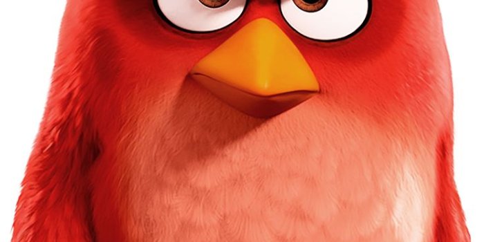 736x1123 Angry Birds Movie 2 Red Wallpapers in 2021 | Angry bird  pictures, Angry birds ch… | Angry bird pictures, Angry birds characters, Angry  birds movie