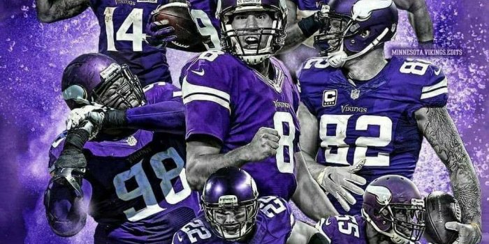 1022x1029 Download Minnesota Vikings Players Art Wallpaper | Wallpapers.com