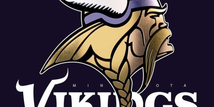736x1308 Minnesota Vikings Wallpaper - iXpap in 2023 | Minnesota vikings wallpaper, Viking  wallpaper, Minnesota vikings logo