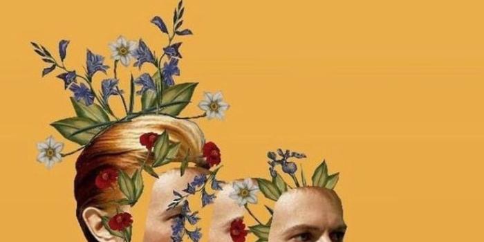 736x1307 70s wallpaper #bowie #davidbowie #wallpaper #aesth - 70s2 | David bowie  art, Bowie art, David bowie wallpaper