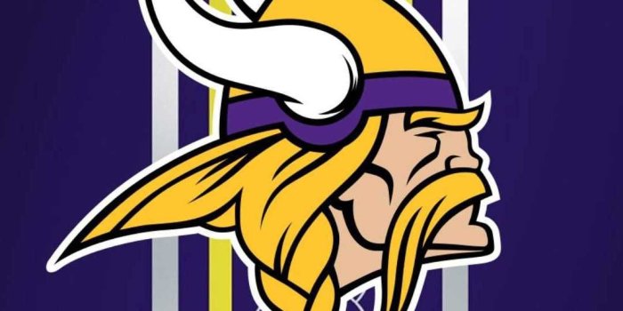 1080x2160 Download Free Minnesota Vikings Wallpaper. Discover more American Football,  Football, Minne… | Minnesota vikings wallpaper, Minnesota vikings logo, Viking  wallpaper