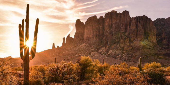 1920x1282 100+] Arizona Desert Wallpapers | Wallpapers.com