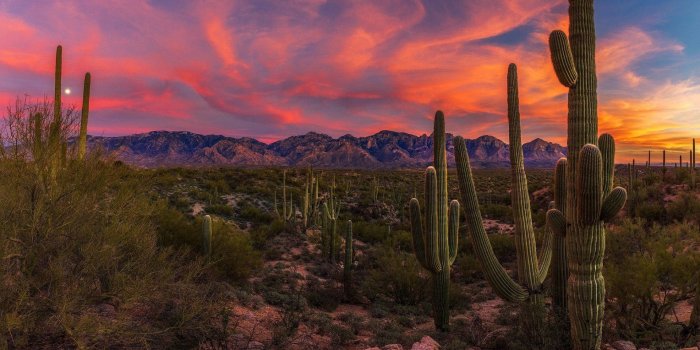 1920x1080 100+] Arizona Desert Wallpapers | Wallpapers.com